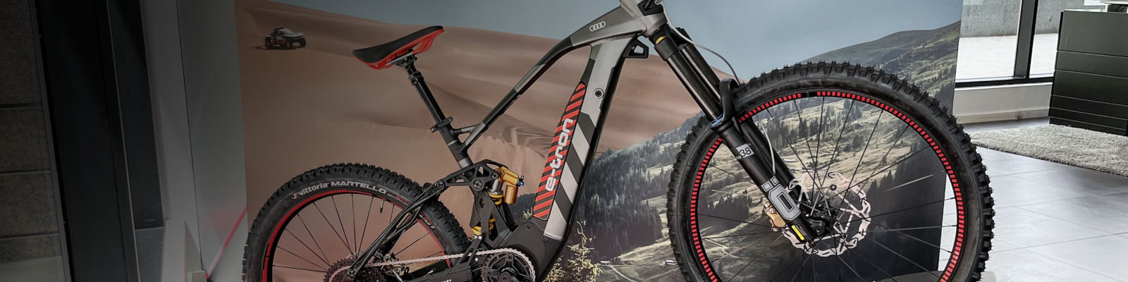 Audi electric mountainbike